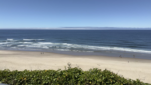 One Bedroom Oceanfront Suite with Hot Tub Photo 4